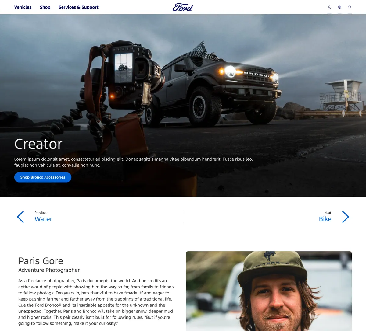 Ford interface screens