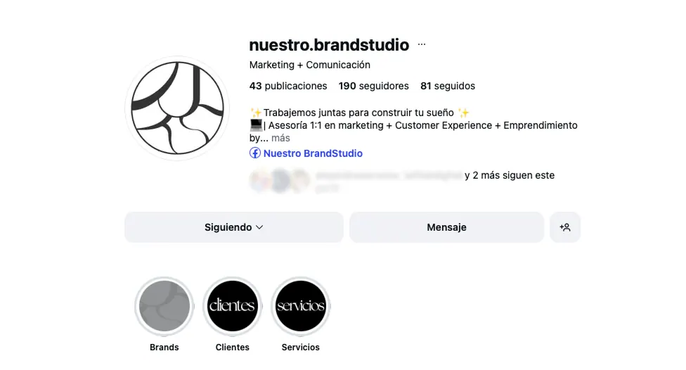 Ours Consulting logo and palette