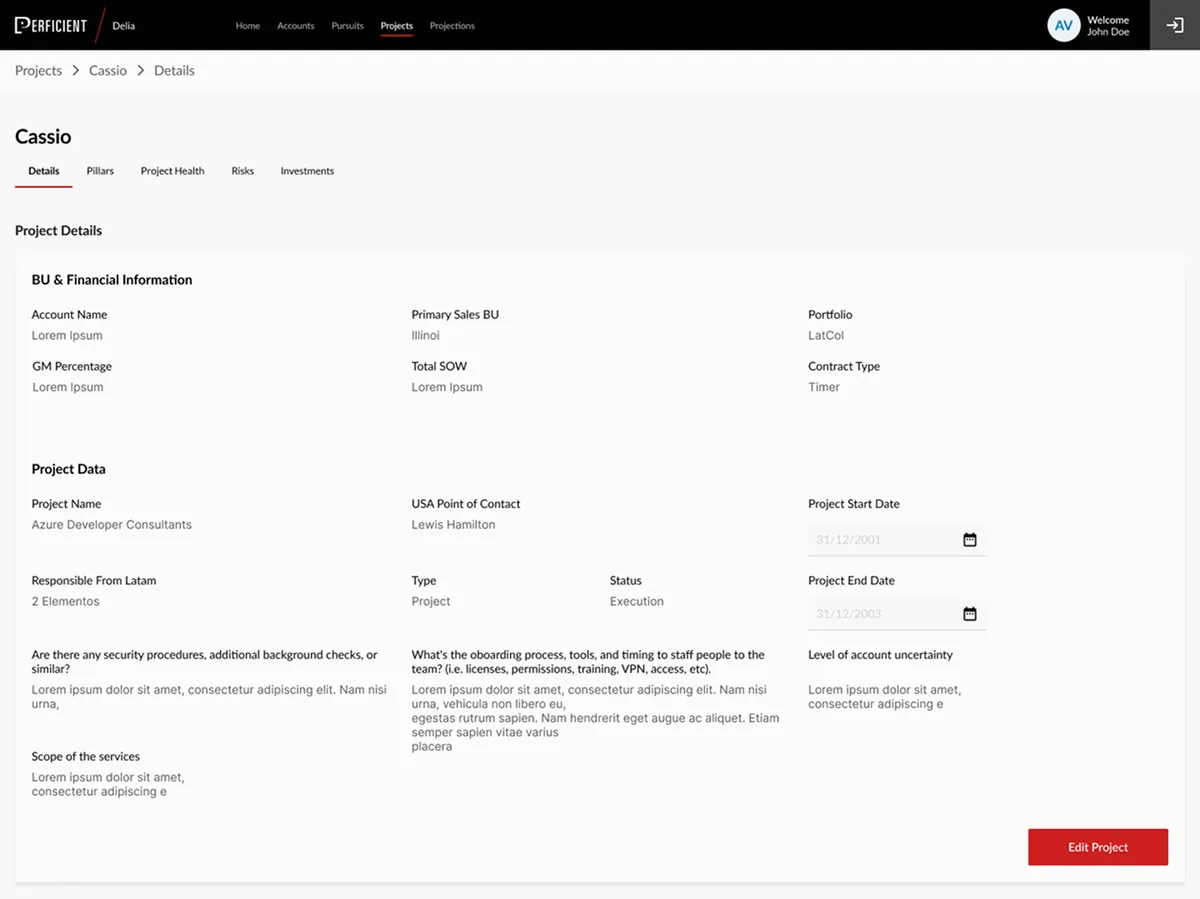 Perficient wireframes
